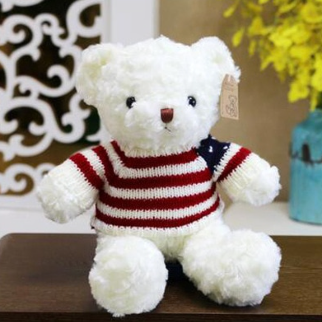 Pupazzo peluche orso teddy bear bianco maglia usa