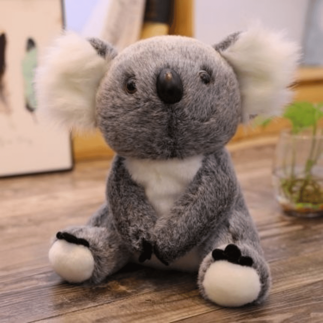 pupazzi peluche koala grigio copertina